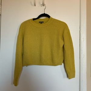 Wild Fable Crop Knit Sweater